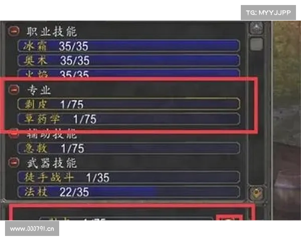 魔兽世界技能栏调整指南 魔兽世界技能栏调整指南